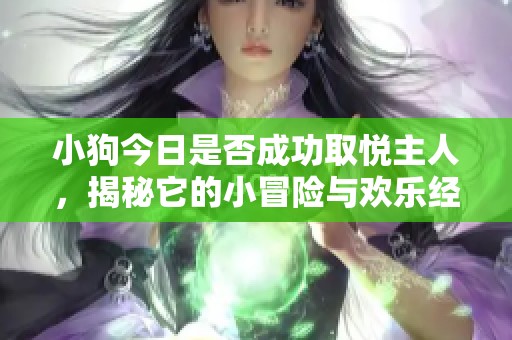 小狗今日是否成功取悦主人，揭秘它的小冒险与欢乐经历
