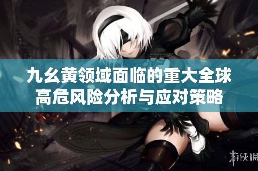 九幺黄领域面临的重大全球高危风险分析与应对策略