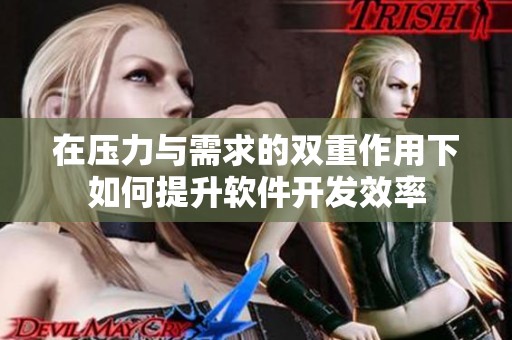 在压力与需求的双重作用下如何提升软件开发效率