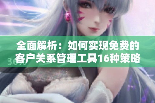 全面解析：如何实现免费的客户关系管理工具16种策略