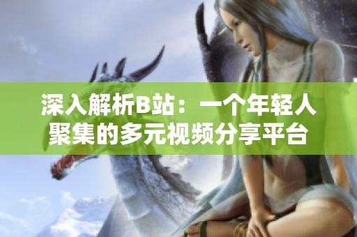 深入解析B站：一个年轻人聚集的多元视频分享平台