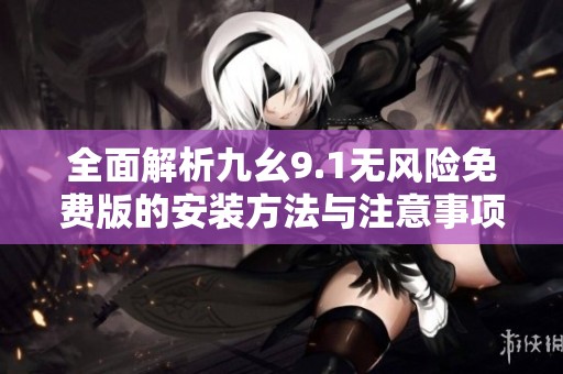 全面解析九幺9.1无风险免费版的安装方法与注意事项