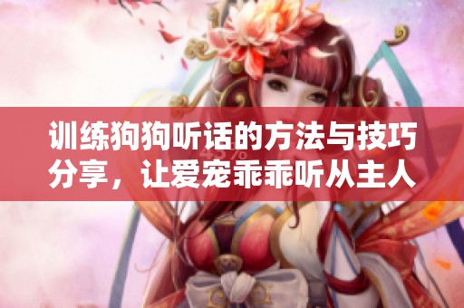 训练狗狗听话的方法与技巧分享，让爱宠乖乖听从主人指令