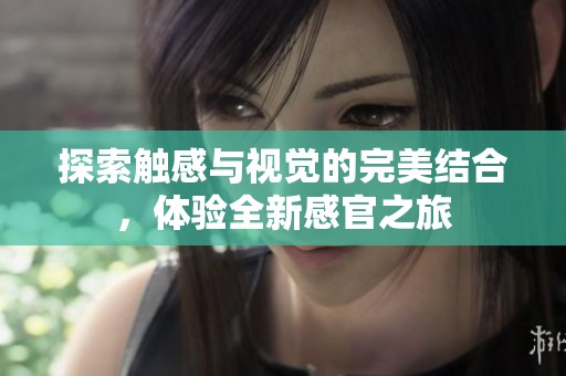 探索触感与视觉的完美结合，体验全新感官之旅