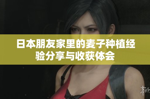 日本朋友家里的麦子种植经验分享与收获体会