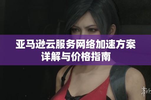 亚马逊云服务网络加速方案详解与价格指南