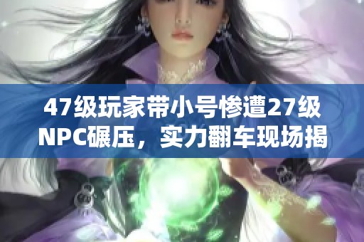 47级玩家带小号惨遭27级NPC碾压，实力翻车现场揭秘