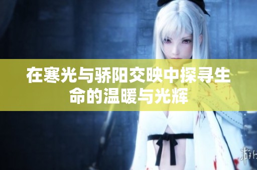 在寒光与骄阳交映中探寻生命的温暖与光辉