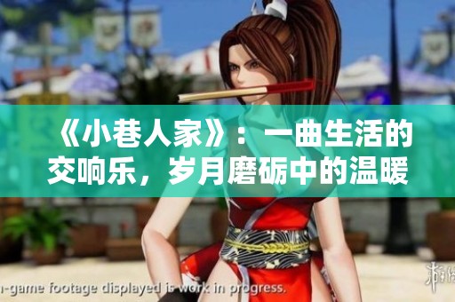 《小巷人家》：一曲生活的交响乐，岁月磨砺中的温暖故事