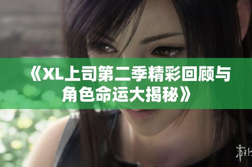 《XL上司第二季精彩回顾与角色命运大揭秘》