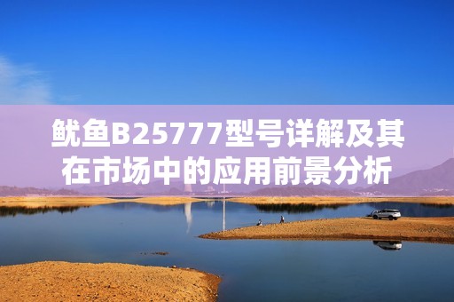 鱿鱼B25777型号详解及其在市场中的应用前景分析