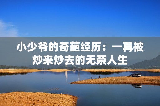 小少爷的奇葩经历：一再被炒来炒去的无奈人生