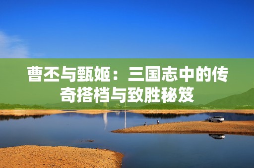曹丕与甄姬：三国志中的传奇搭档与致胜秘笈
