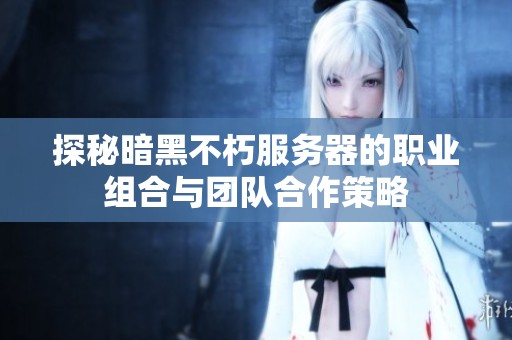 探秘暗黑不朽服务器的职业组合与团队合作策略