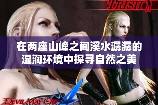 在两座山峰之间溪水潺潺的湿润环境中探寻自然之美