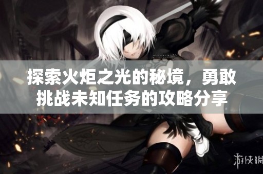 探索火炬之光的秘境，勇敢挑战未知任务的攻略分享