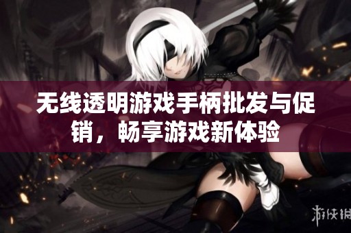 无线透明游戏手柄批发与促销，畅享游戏新体验