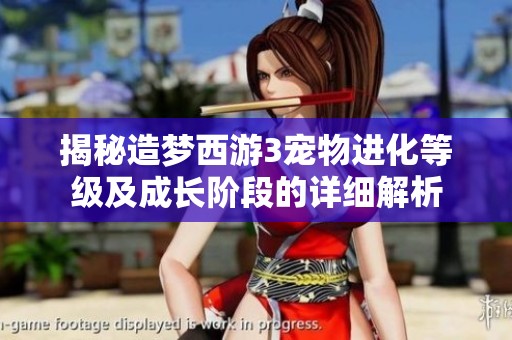 揭秘造梦西游3宠物进化等级及成长阶段的详细解析