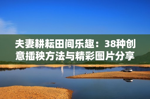 夫妻耕耘田间乐趣：38种创意插秧方法与精彩图片分享