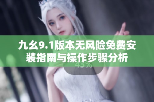 九幺9.1版本无风险免费安装指南与操作步骤分析