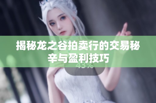 揭秘龙之谷拍卖行的交易秘辛与盈利技巧