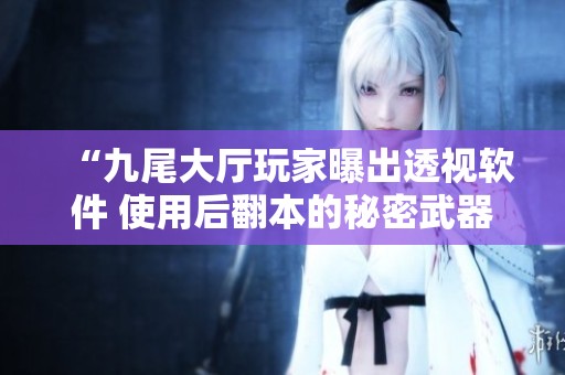 “九尾大厅玩家曝出透视软件 使用后翻本的秘密武器”
