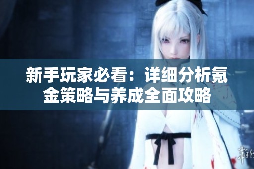 新手玩家必看：详细分析氪金策略与养成全面攻略