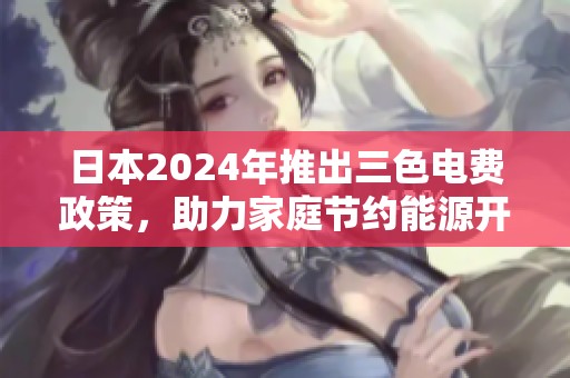 日本2024年推出三色电费政策，助力家庭节约能源开支