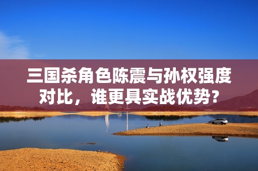 三国杀角色陈震与孙权强度对比，谁更具实战优势？