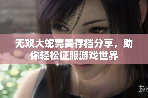 无双大蛇完美存档分享，助你轻松征服游戏世界