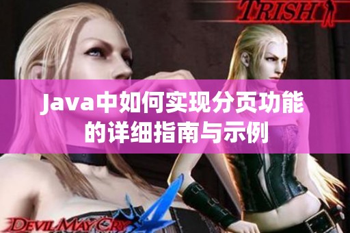 Java中如何实现分页功能的详细指南与示例