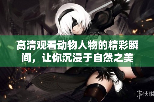 高清观看动物人物的精彩瞬间，让你沉浸于自然之美