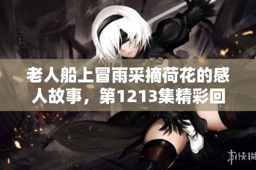 老人船上冒雨采摘荷花的感人故事，第1213集精彩回顾