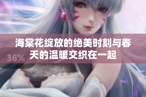 海棠花绽放的绝美时刻与春天的温暖交织在一起