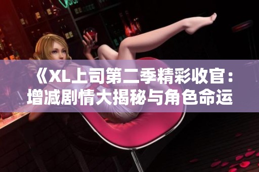 《XL上司第二季精彩收官：增减剧情大揭秘与角色命运分析》