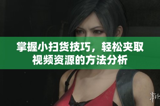 掌握小扫货技巧，轻松夹取视频资源的方法分析