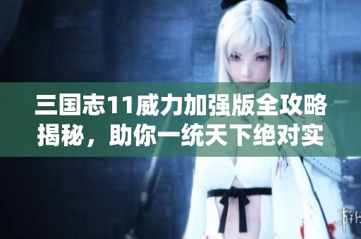 三国志11威力加强版全攻略揭秘，助你一统天下绝对实力提升方案准备好了吗