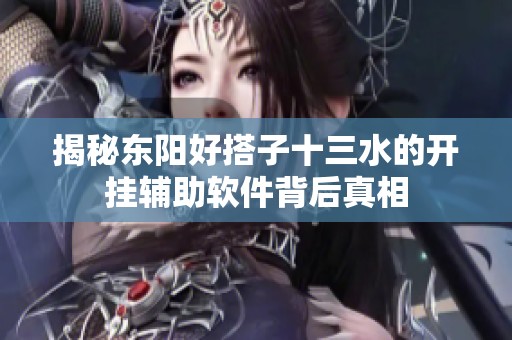 揭秘东阳好搭子十三水的开挂辅助软件背后真相