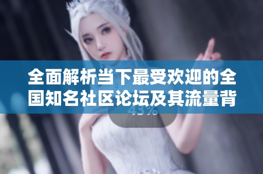 全面解析当下最受欢迎的全国知名社区论坛及其流量背后的秘密揭秘