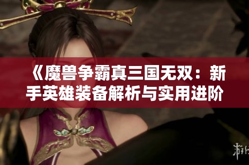 《魔兽争霸真三国无双：新手英雄装备解析与实用进阶攻略指南》