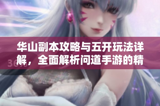 华山副本攻略与五开玩法详解，全面解析问道手游的精彩之旅与战斗策略