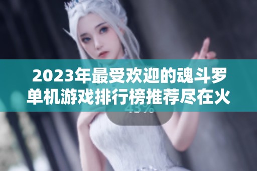 2023年最受欢迎的魂斗罗单机游戏排行榜推荐尽在火把云手游网