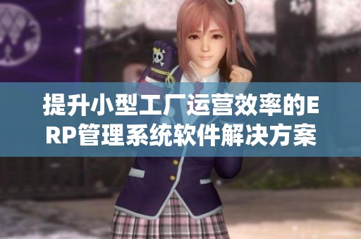 提升小型工厂运营效率的ERP管理系统软件解决方案