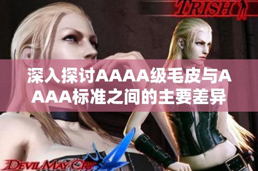 深入探讨AAAA级毛皮与AAAA标准之间的主要差异分析
