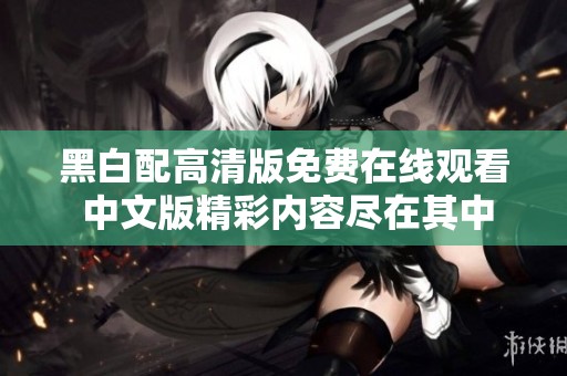 黑白配高清版免费在线观看 中文版精彩内容尽在其中
