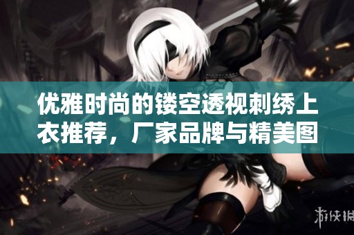 优雅时尚的镂空透视刺绣上衣推荐，厂家品牌与精美图片全在这里