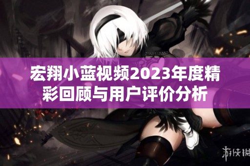 宏翔小蓝视频2023年度精彩回顾与用户评价分析