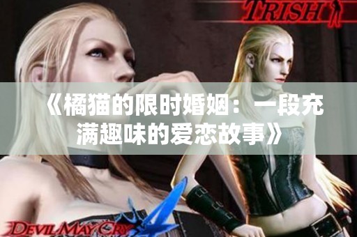 《橘猫的限时婚姻：一段充满趣味的爱恋故事》