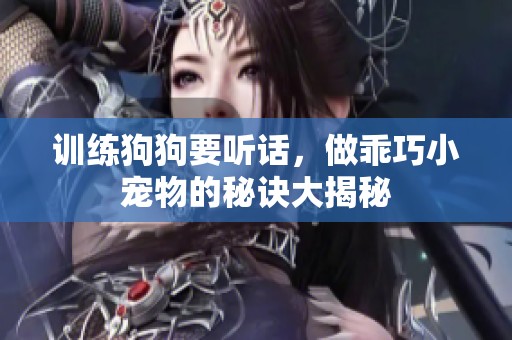 训练狗狗要听话，做乖巧小宠物的秘诀大揭秘