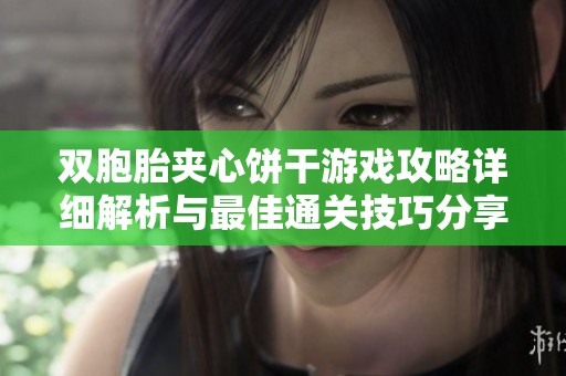 双胞胎夹心饼干游戏攻略详细解析与最佳通关技巧分享